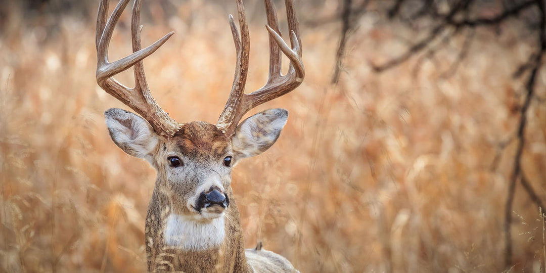 How to Reduce Scent When Hunting