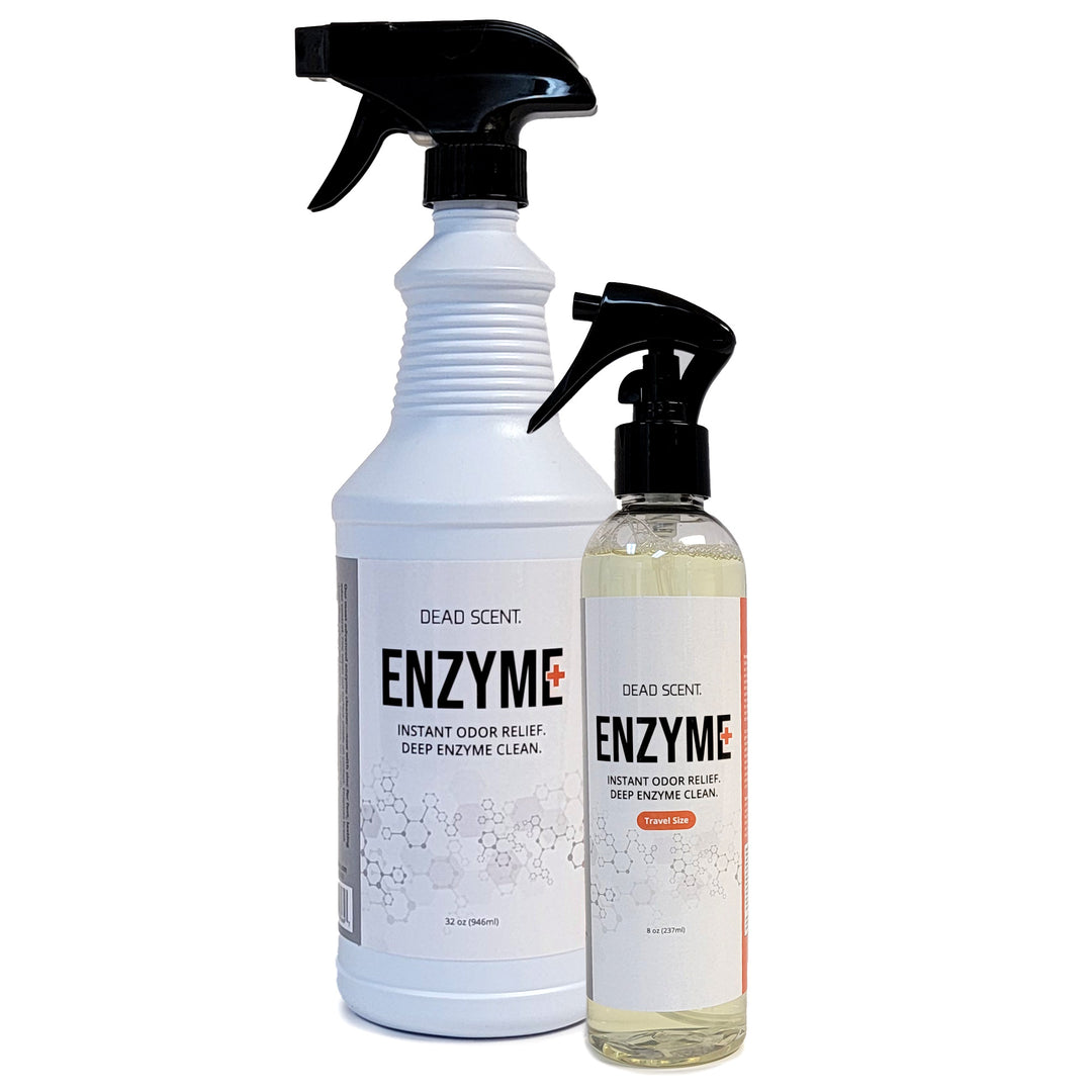 Enzyme+ Odor & Stain Eliminator – 32oz